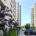 Hils Brauner, Pallady, new, studio + parcare, garden view.